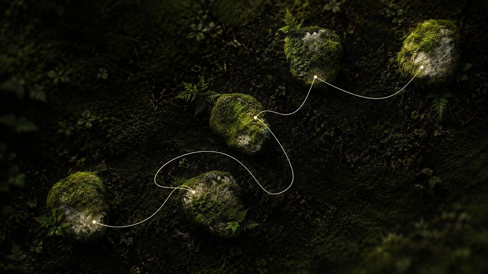 Moss-covered forms connected by a single drawn line